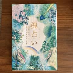 魂占い かげたま真由子著のサムネイル