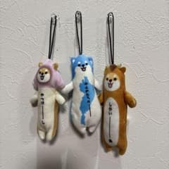 ご当地柴犬　滋賀　京都　奈良のサムネイル
