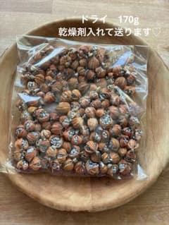 月桃の実　ドライ　170gのサムネイル