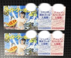 ナガシマスパランド ワイドクーポン 2026年 2枚セット - メルカリ