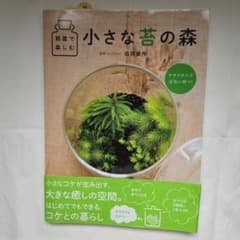部屋で楽しむ 小さな苔の森のサムネイル