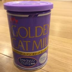 ゴールデンキャットミルクのサムネイル