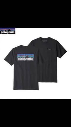 Tシャツ patagonia mサイズのサムネイル