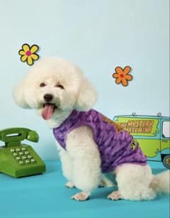 Scooby-Doo 犬服 (XXL)のサムネイル