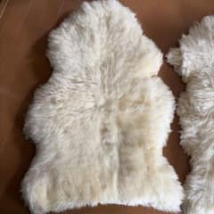 Mi Woollies ニュージーランド クリーム色 羊毛シープスキンラグ2枚