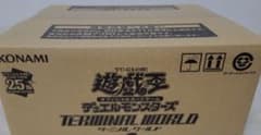 遊戯王　ターミナルワールド2　24ボックス　１カートン　新品未開封　シュリンク付 遊戯王 ターミナルワールド2 24ボックス 1カートン 新品未開封