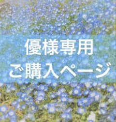 【優様専用ご購入ページ】のサムネイル