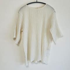 【美品】Aunt Marie's シアーブラウス　アイボリーのサムネイル