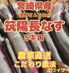 野菜 なす 5キロ 宮崎県産 - メルカリ