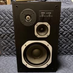 [Final Clearance Sale] Rare, fully functional Diatone DS-28B speaker