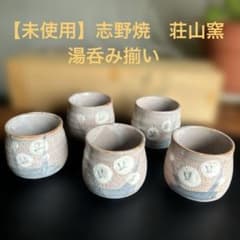 2166 志野焼　荘山窯　紅志野　茶器セット　急須1客　湯呑5客　未使用 東山作 志野焼 湯呑 煎茶碗 5客 木箱 来客 - メルカリ