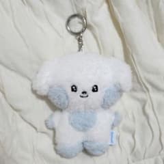 zeroni ZEROBASEONEギュニニ ギュビン まとめ売り 11点 zeroni zerobaseone ギュビン キーリング ぬいぐるみ ギュニニ - メルカリ