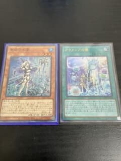 遊戯王 聖殿の水遣い　アラメシアの儀のサムネイル