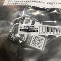 いきもの大図鑑 かぶとむし09 オンライン版のサムネイル