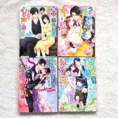 ベリーズ文庫 小説4冊セット ♯9 - メルカリ