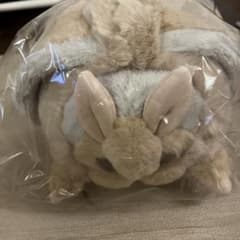 モスのいる日常　ぬいぐるみ（ヤママユガ系モス） モスのいる日常 ぬいぐるみ ヤママユガ系モス - メルカリ