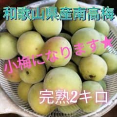 和歌山県産　南高梅　完熟　2キロ（小梅）のサムネイル