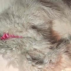 アウターのサムネイル