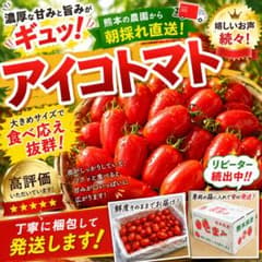 熊本県産 アイコトマト 濃厚ミニトマトのサムネイル