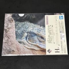 一番くじ 爬虫類＆両生類 Tiny Friends vol.3 H賞のサムネイル