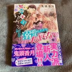 堅物王子はにゃんこな新妻を溺愛したくてたまらないのサムネイル