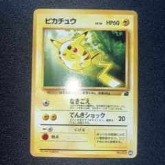 旧裏 イントロパック ピカチュウ ライチュウ ゼニガメ フシギダネ 他10枚 極美品 ピカチュウ＆ライチュウセットイントロパック ポケモンカード