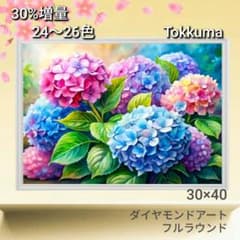 No.6507 Tokkuma【26色】ダイヤモンドアート - メルカリ