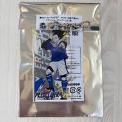 My Hero Academia Japan National Soccer Team　アクリルキーホルダー　Shota Aizawa, Eraserhead