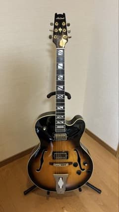 Aria Pro II PE-175 ハーブエリスモデル　ケースなし Aria Pro II PE-175 ハーブエリスモデル ケースなし - メルカリ