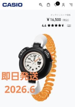 カシオ サ時計 サウナ時計CASIO 分計 クォーツ 腕時計 - メルカリ