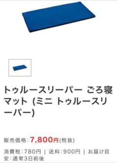 【新品未使用】ミニトゥルースリーパー ごろ寝マットのサムネイル