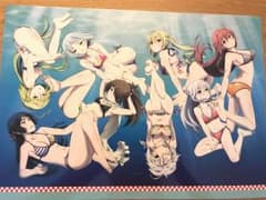 トリニティセブン 美少女魔導師と夏休み パンフレットのサムネイル