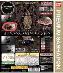 いきもの大図鑑アドバンス オオキバウスバカミキリ（ライト）オンライン限定版のサムネイル