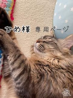 ひめ様　専用ページのサムネイル