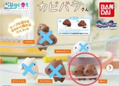 카피바라씨 케이블 액세서리