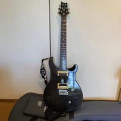 PRS SE custom 22 (12時間限定価格)のサムネイル