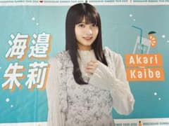 m86199680641_1.jpg?1755518408