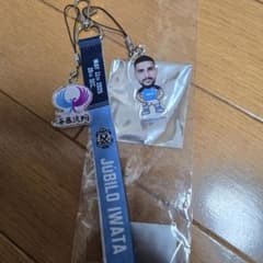 ジュビロ磐田 ジュビポン 蒼藤決戦ボンフィンのサムネイル