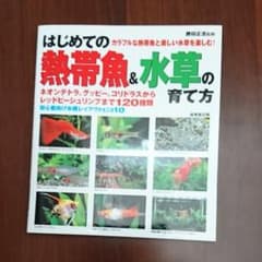 はじめての熱帯魚&水草の育て方のサムネイル