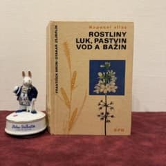 ❤️セール36⑤1979年チェコ植物図鑑 ジャンクジャーナル ボタンニカル