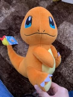 ポケモン ぬいぐるみのサムネイル