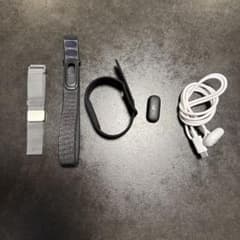 Google fitbit air グーグル フィットビット