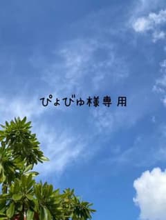 ぴょびゅ様専用です。のサムネイル