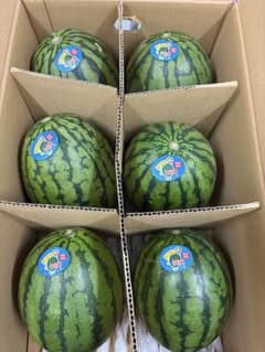 産地直送！優！小玉スイカうりぼう6玉入！甘くて美味しい箱込10キロ前後 産地直送！優！小玉スイカうりぼう6玉入！甘くて美味しい箱込10キロ