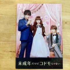 未成年だけどコドモじゃない パンフレット