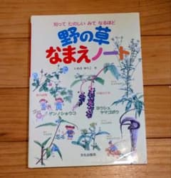 野の草 なまえノート A4サイズのサムネイル