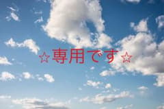 専用ですのサムネイル