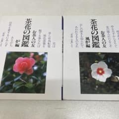 お茶人の友 茶花の図鑑 炉編 風炉編 2冊セット