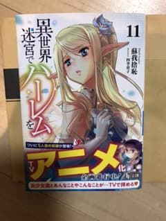 異世界迷宮でハーレムを 11のサムネイル