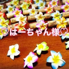 ♡はーちゃん様専用ページ♡のサムネイル